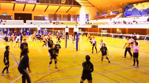 第33回市民混合バレーボール大会を開催しました。