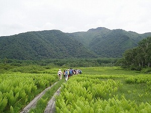 新治地区市民委員会