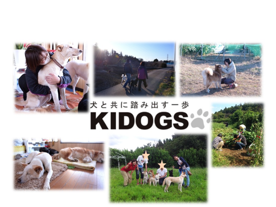 NPO法人　キドックス