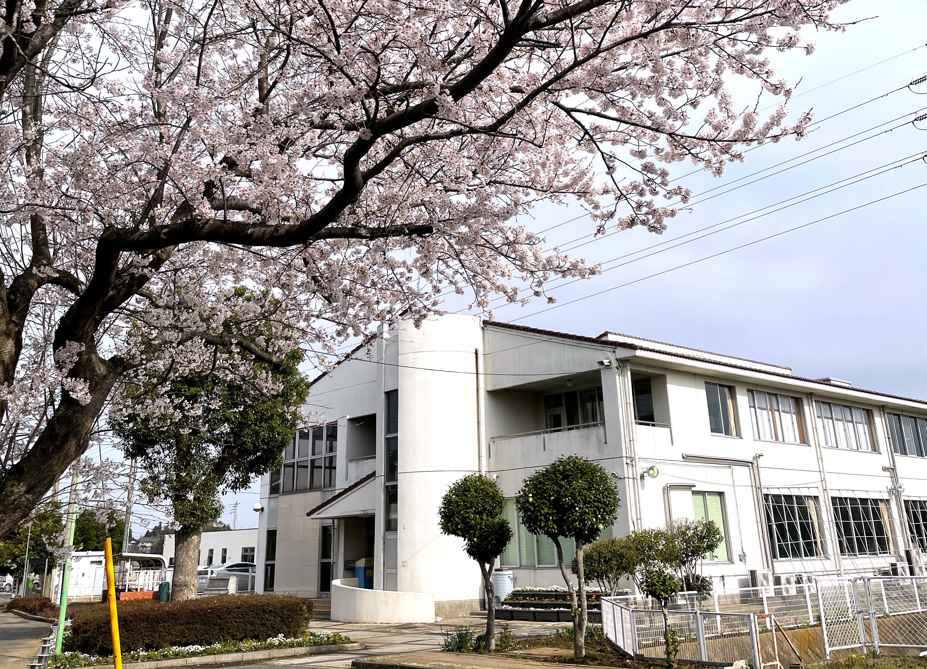 六中地区市民委員会